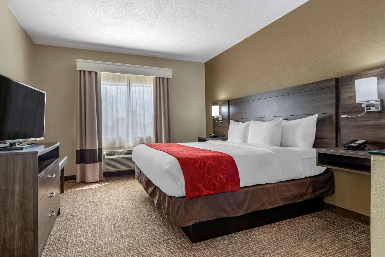 Comfort Suites Near Robins Air Force Base Warner Robins Dış mekan fotoğraf